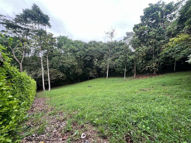 Lote en venta en Cerritos, Pereira, 1730 m² · foto 5 de 8