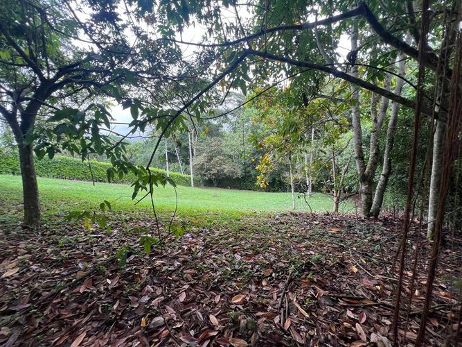 Lote en venta en Cerritos, Pereira, 1730 m² · foto 6 de 8