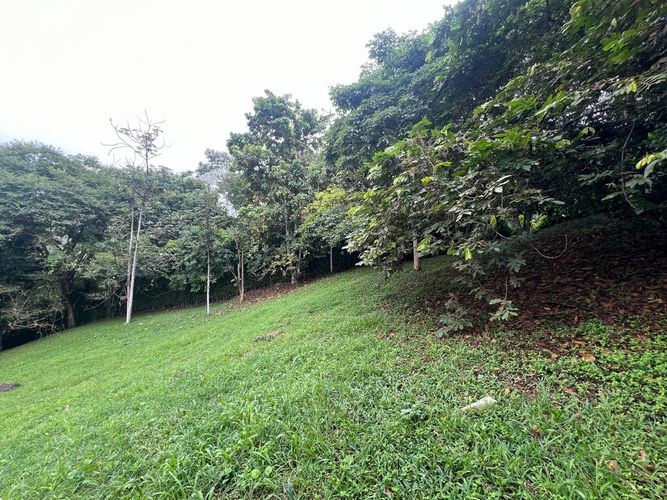 Lote en venta en Cerritos, Pereira, 1730 m² · foto 7 de 8