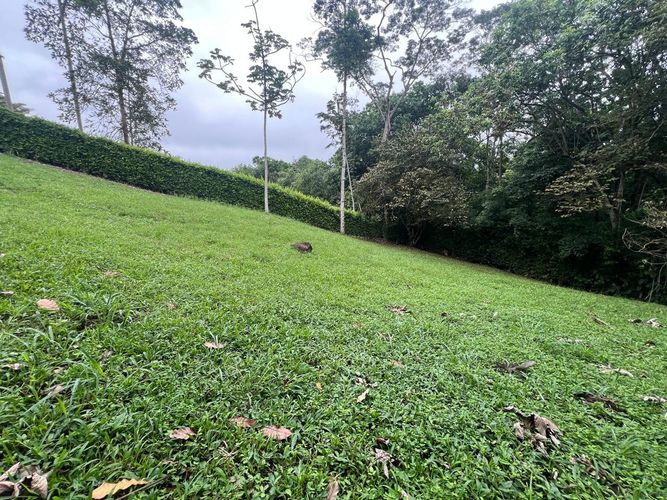 Lote en venta en Cerritos, Pereira, 1730 m² · foto 2 de 8