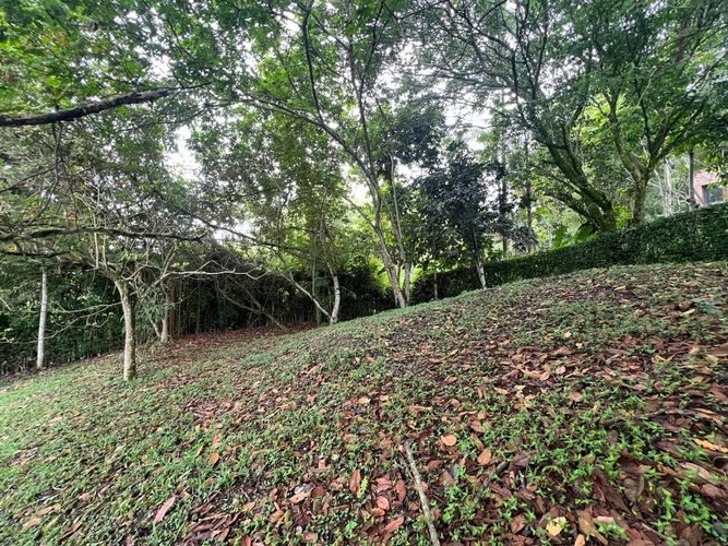 Lote en venta en Cerritos, Pereira, 1730 m² · foto 8 de 8
