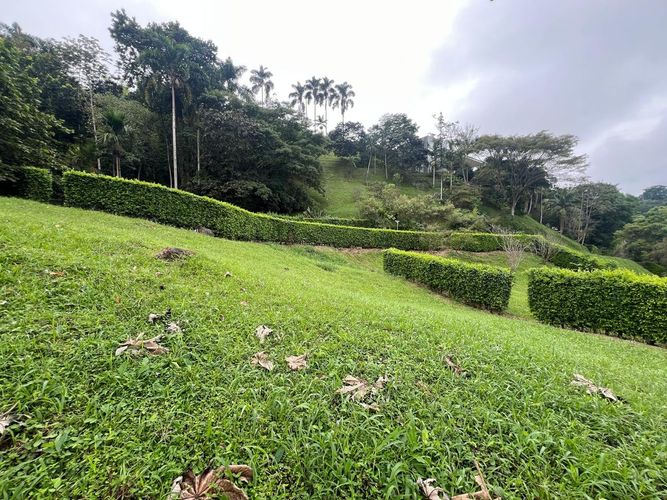 Lote en venta en Cerritos, Pereira, 1360 m² · foto 3 de 7