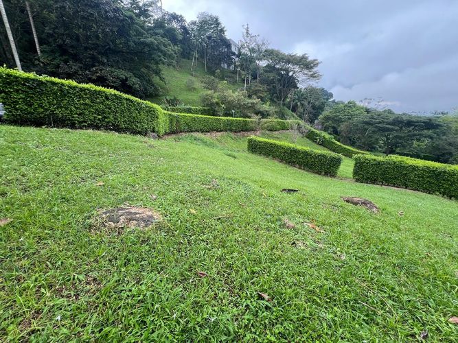 Lote en venta en Cerritos, Pereira, 1360 m² · foto 7 de 7
