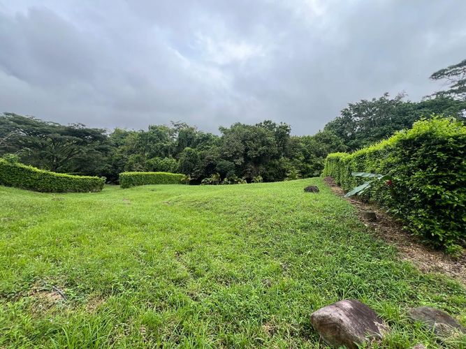 Lote en venta en Cerritos, Pereira, 1400 m² · foto 2 de 10