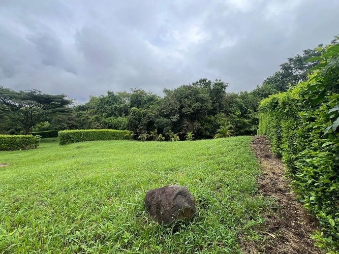 Lote en venta en Cerritos, Pereira, 1400 m² · foto 5 de 10