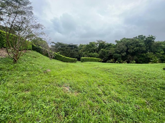 Lote en venta en Cerritos, Pereira, 1400 m² · foto 3 de 10