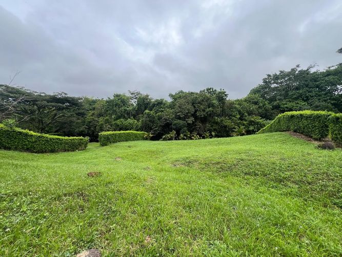 Lote en venta en Cerritos, Pereira, 1400 m² · foto 7 de 10