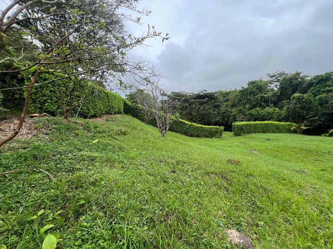 Lote en venta en Cerritos, Pereira, 1400 m² · foto 9 de 10
