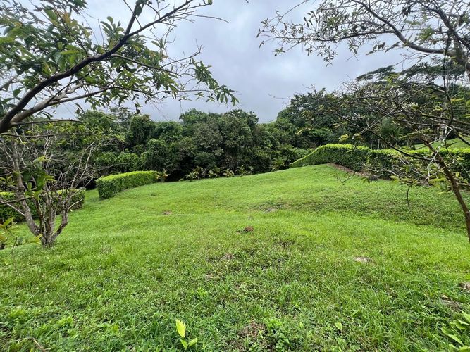 Lote en venta en Cerritos, Pereira, 1400 m² · foto 6 de 10