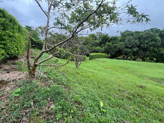 Lote en venta en Cerritos, Pereira, 1400 m² · foto 8 de 10