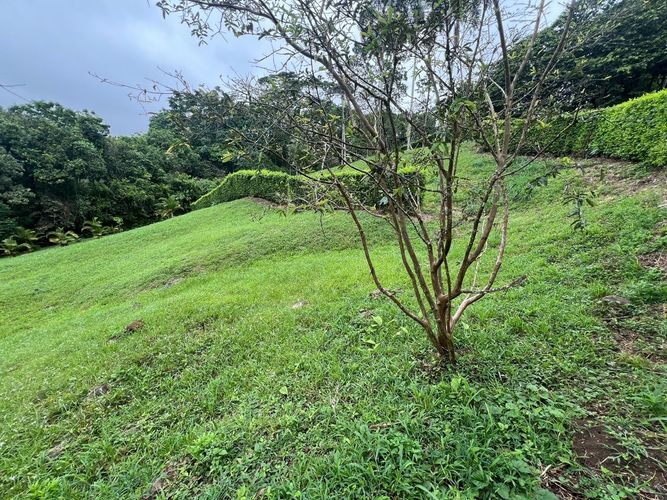 Lote en venta en Cerritos, Pereira, 1400 m² · foto 10 de 10