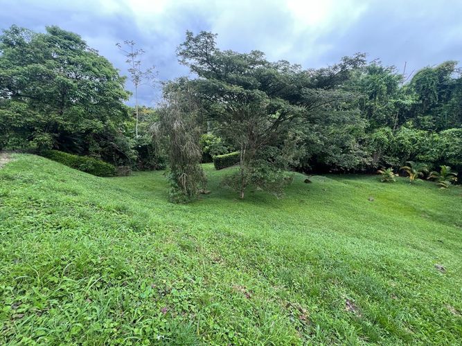 Lote en venta en Cerritos, Pereira, 1130 m² · foto 2 de 6