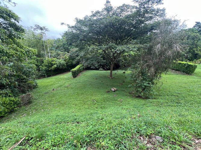 Lote en venta en Cerritos, Pereira, 1130 m² · foto 6 de 6