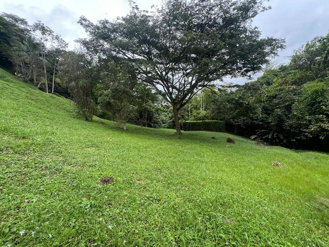 Lote en venta en Cerritos, Pereira, 1130 m² · foto 5 de 6