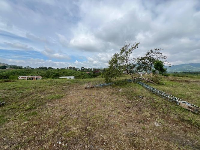 Lote en venta en Combia Baja, Pereira, 1500 m² · foto 5 de 11