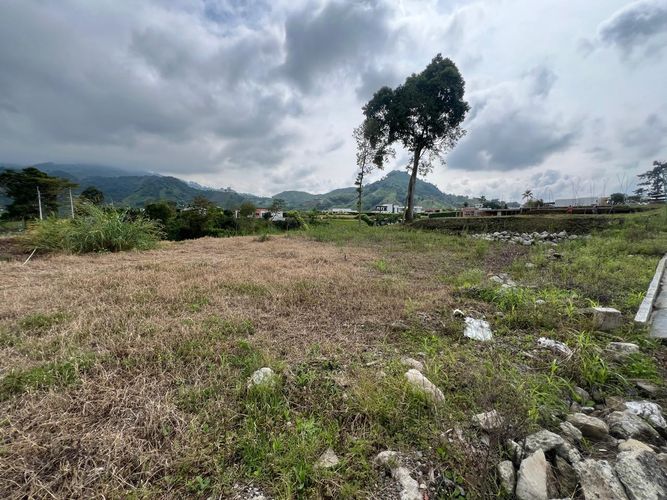 Lote en venta en Combia Baja, Pereira, 1500 m² · foto 7 de 11