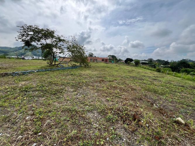 Lote en venta en Combia Baja, Pereira, 1500 m² · foto 11 de 11