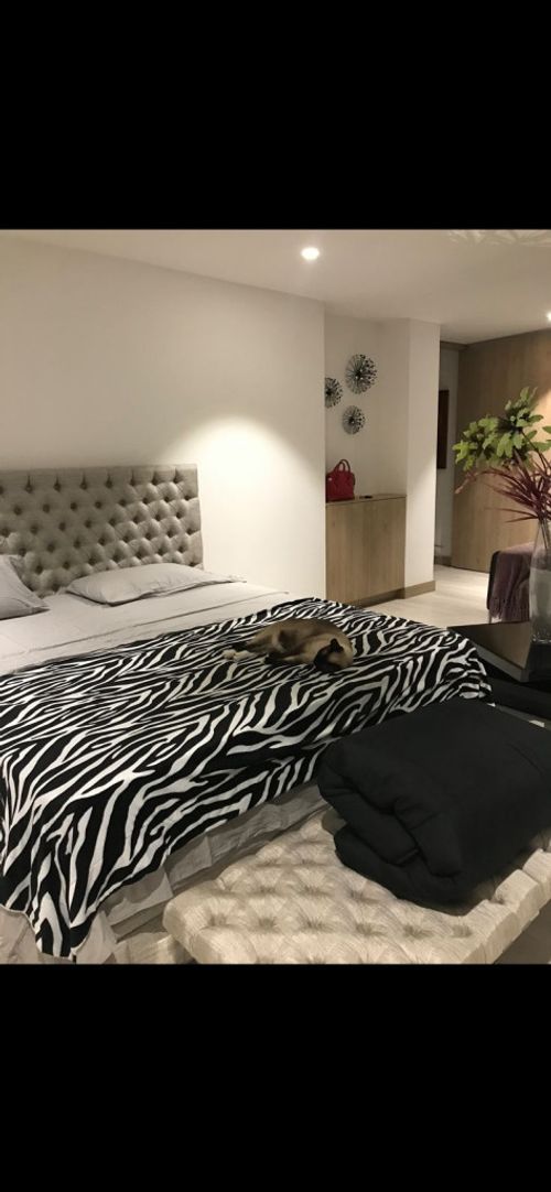 Apartamento de 4 alcobas en arriendo en San Lucas, Medellín, 230 m² · foto 4 de 15