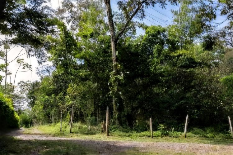 Finca en venta en Cairo Alto, Villavicencio, 7300 m² · foto 2 de 7