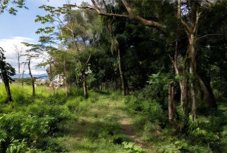 Finca en venta en Cairo Alto, Villavicencio, 7300 m² · foto 3 de 7