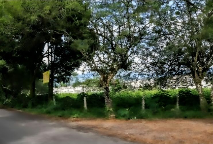 Finca en venta en Cairo Alto, Villavicencio, 7300 m² · foto 6 de 7