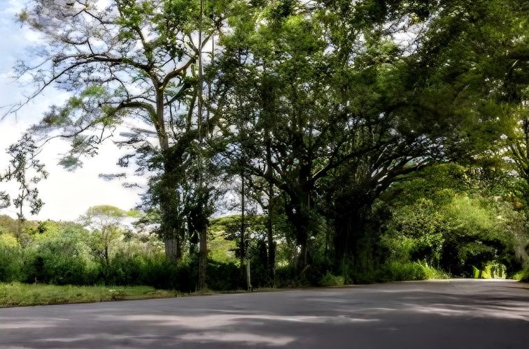 Finca en venta en Cairo Alto, Villavicencio, 7300 m² · foto 5 de 7