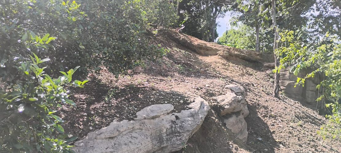 Lote en venta en Ruitoque, Piedecuesta · foto 3 de 5