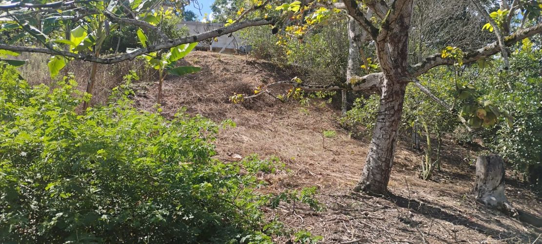 Lote en venta en Ruitoque, Piedecuesta · foto 4 de 5