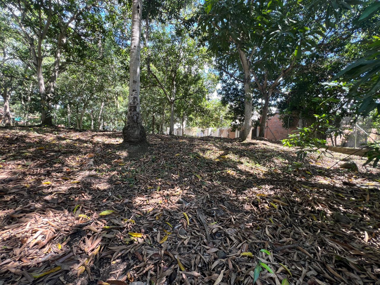 Land in Santafe de antioquia (1950 m²) for Sale