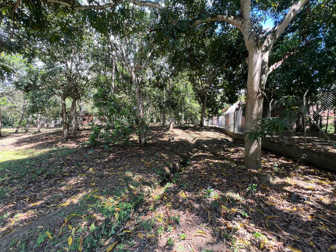 Land in Santafe de antioquia (1950 m²) for Sale - 3