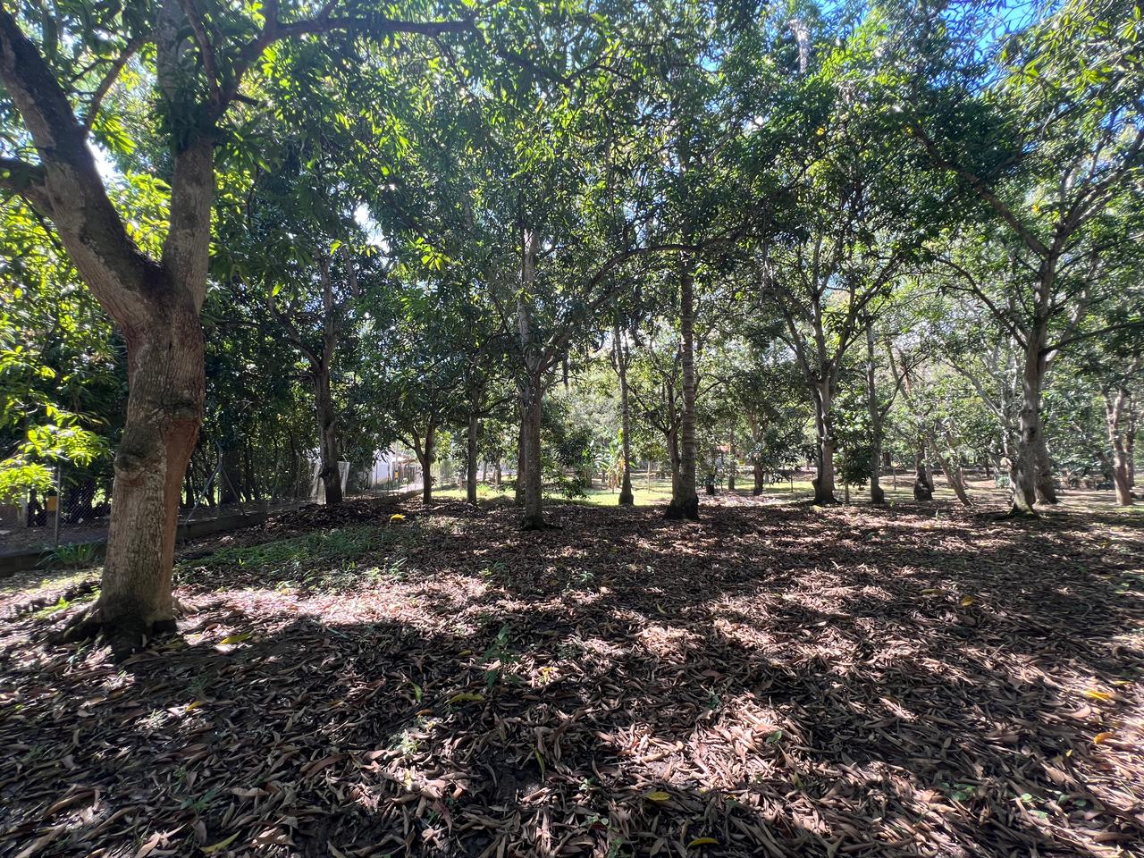 Land in Santafe de antioquia (1950 m²) for Sale - 4