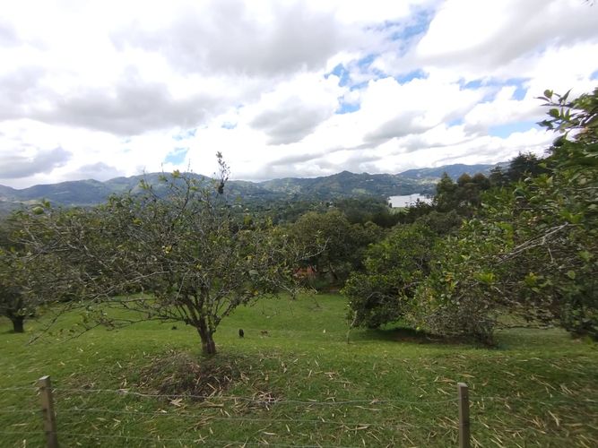 Finca en arriendo en El Retiro, 450 m² · foto 4 de 20