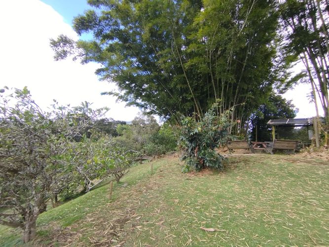 Finca en arriendo en El Retiro, 450 m² · foto 5 de 20