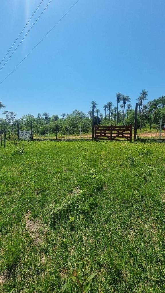 Terreno en venta en Nueva Colombia — foto 2