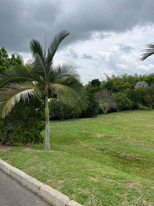 Lote en venta en Cerritos, Pereira, 1574 m² · foto 3 de 9