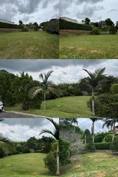 Lote en venta en Cerritos, Pereira, 1574 m² · foto 4 de 9
