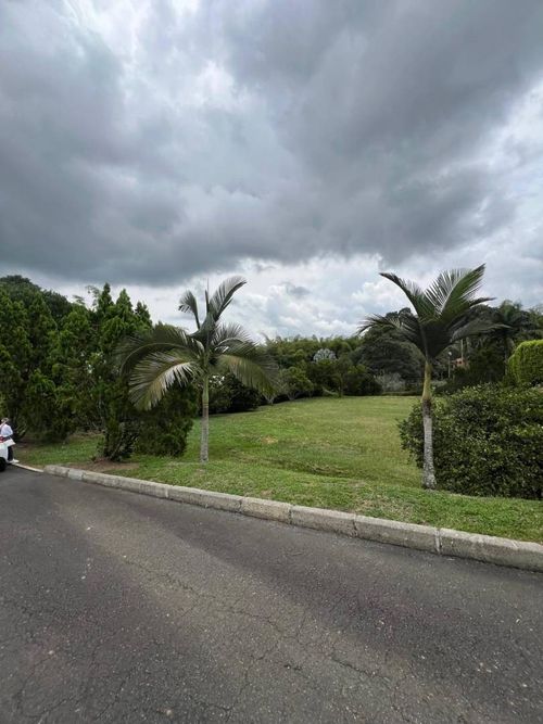 Lote en venta en Cerritos, Pereira, 1574 m² · foto 9 de 9