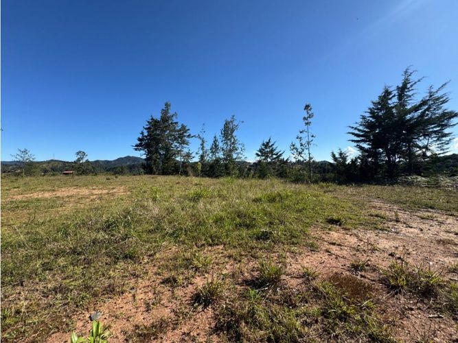 Lote en venta en Pantanillo, El Retiro, 2402 m² · foto 2 de 11