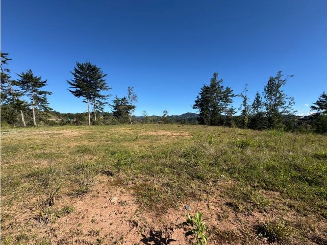 Lote en venta en Pantanillo, El Retiro, 2402 m² · foto 4 de 11