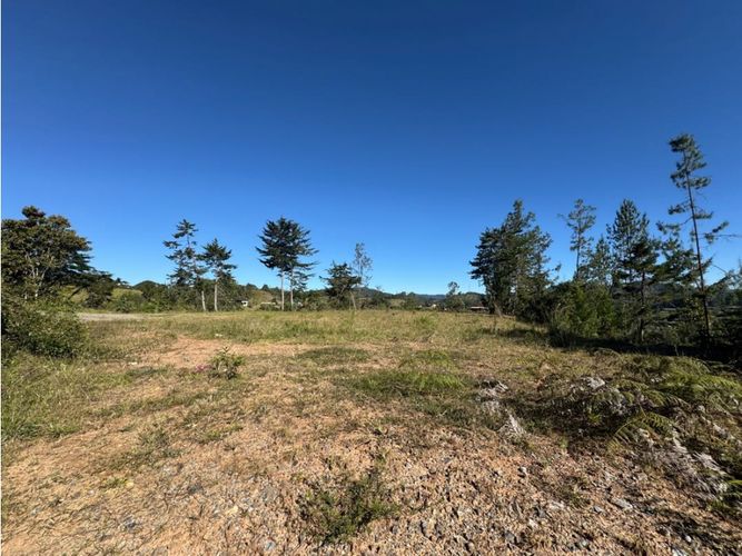 Lote en venta en Pantanillo, El Retiro, 2402 m² · foto 6 de 11