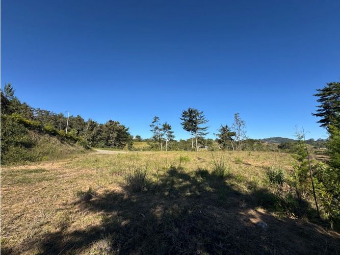 Lote en venta en Pantanillo, El Retiro, 2402 m² · foto 7 de 11