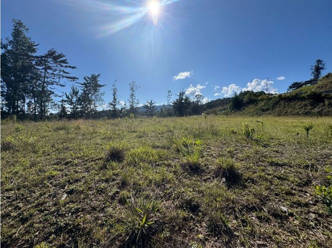 Lote en venta en Pantanillo, El Retiro, 2402 m² · foto 9 de 11