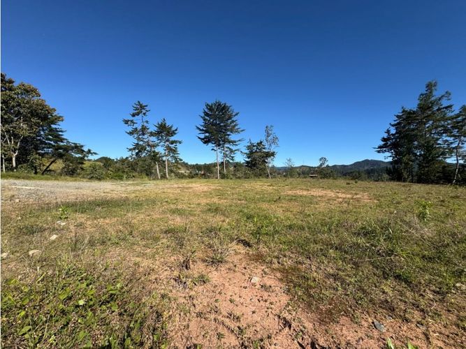 Lote en venta en Pantanillo, El Retiro, 2402 m² · foto 10 de 11