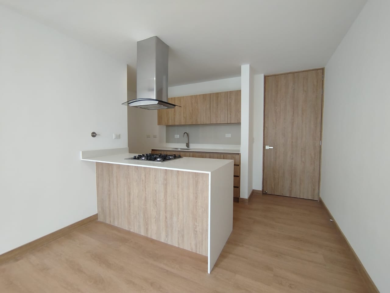 1BR Apartment in Centro (53 m²)