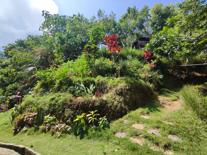 Finca en venta en Calabazo, Santa Marta, 30500 m² · foto 3 de 17