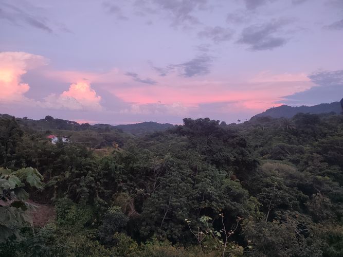 Finca en venta en Calabazo, Santa Marta, 30500 m² · foto 14 de 17