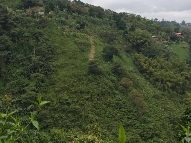 Lote en venta en Tribunas Corcega, Pereira, 500 m² · foto 2 de 12