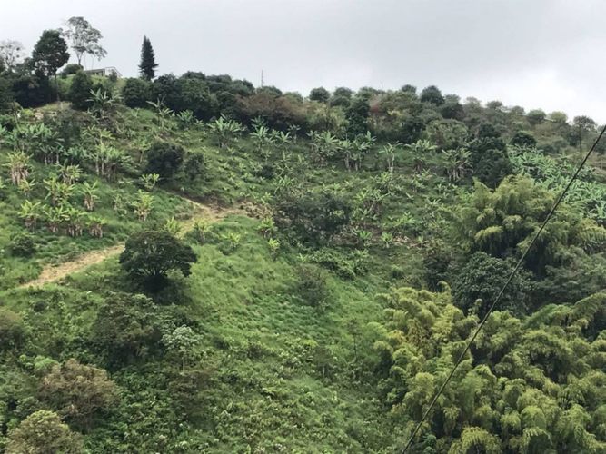 Lote en venta en Tribunas Corcega, Pereira, 500 m² · foto 3 de 12
