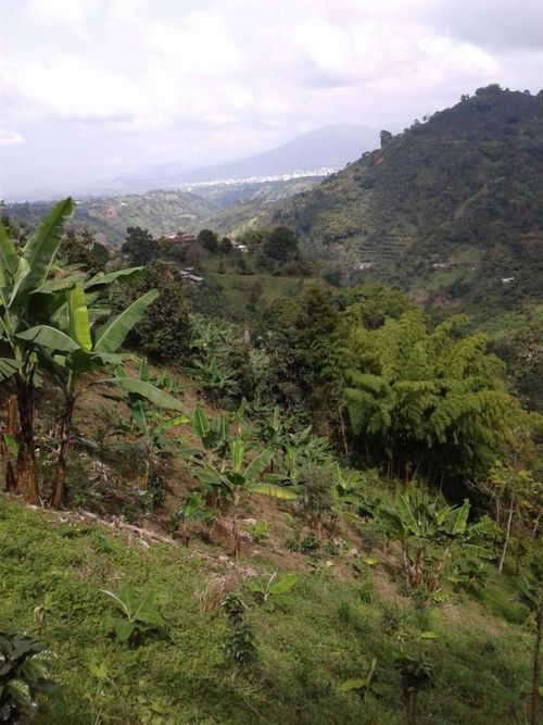 Lote en venta en Tribunas Corcega, Pereira, 500 m² · foto 4 de 12