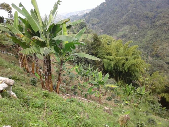 Lote en venta en Tribunas Corcega, Pereira, 500 m² · foto 5 de 12